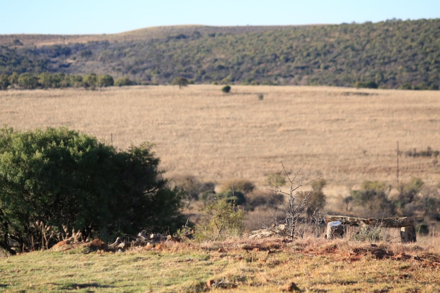 Commercial Property for Sale in Lekwena Wildlife Estate North West